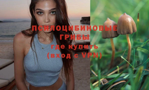 каннабис Абаза
